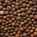 آل اسپایس : طعمی از کارائیب