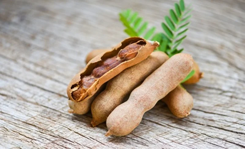 خواص تمر هندی