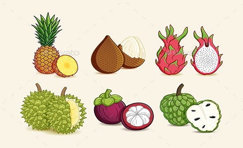 میوه های خارق العاده استوایی تایلند